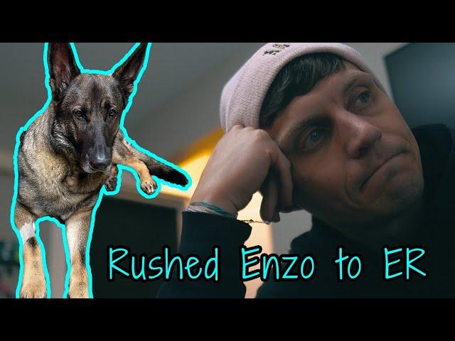 ENZO RUSHED TO ER! - We Don't Know what's Wrong with our German Shepherd. Part I