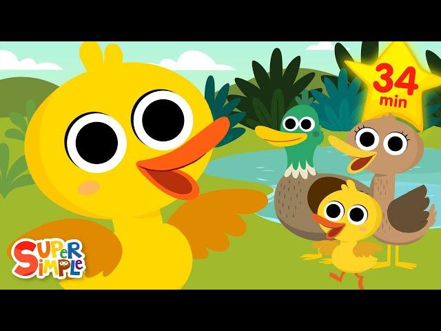 Ducks! Ducks! Ducks!  | Quacky Kids Songs | Super Simple Songs