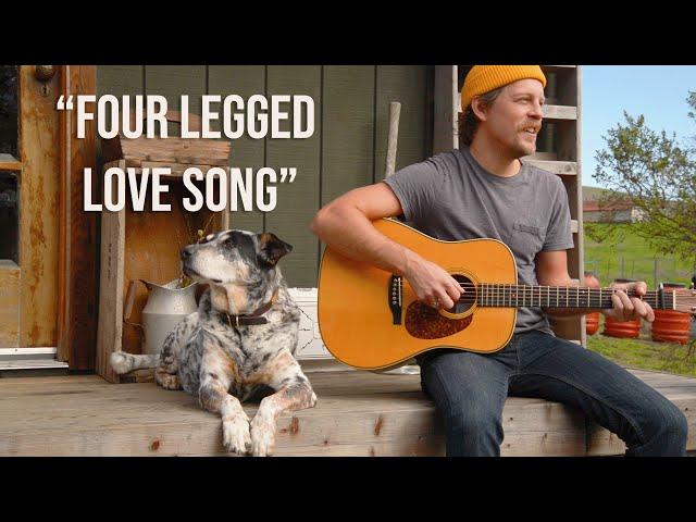 Four Legged Love Song