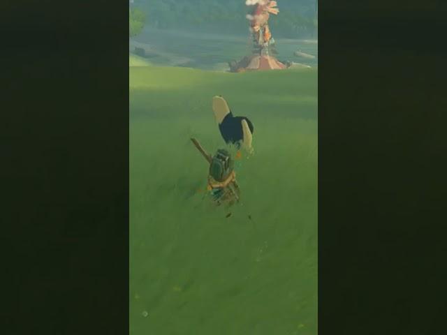 Geting A Horse Early - Zelda Tears of the Kingdom