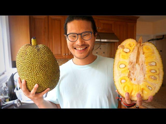 What is Jackfruit? How to Make Jackfruit Vegan Pulled Pork