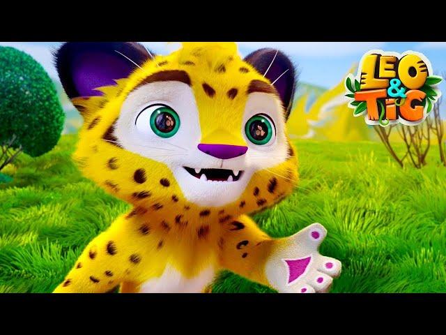 Leo e Tig  Aventuras na floresta  LIVE  Desenho Infantil ⭐  Desenhos Animados Para Crianças