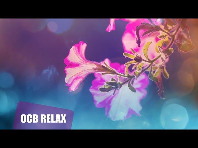 10 Hours of Relaxing Music - Sleep Music, Piano Music for Stress Relief, Sleeping Music (Leona)