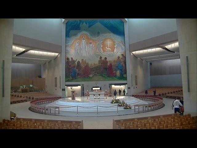 Knock Shrine Live Stream