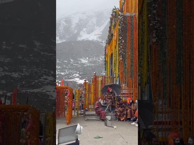 #kedarnath Dham yaatra || Char Dham Yaatra 2023 || Kedarnath mandir || 25th April 2023