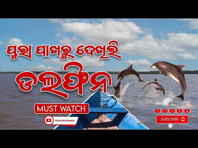 Satpada: Dolphin Resort Your Next Weekend Getaway | Odisha Tourism #odiavlog #satapada #budgettravel