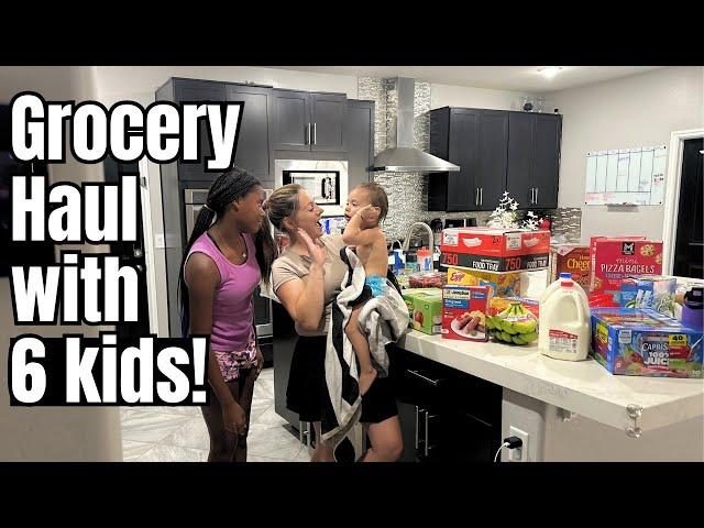 Real Life Big Family Grocery Haul Vlog -Christy Gior