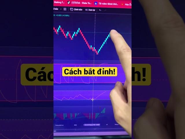 Cách bắt đỉnh - Hoà Thân
