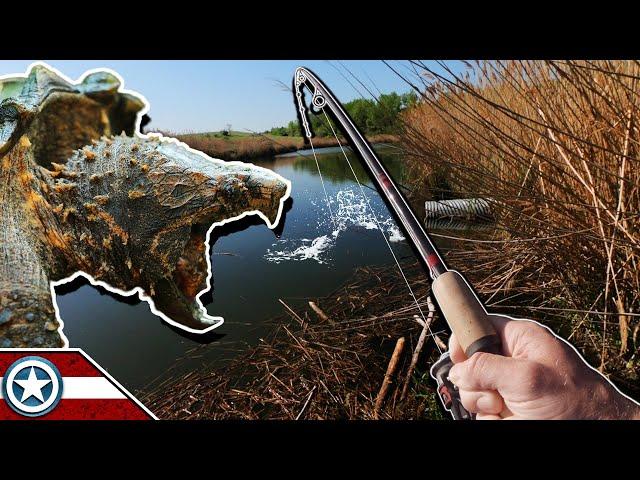 Fishing Snapping Turtle Pond for Largemouth Bass (NEW Remote Location)