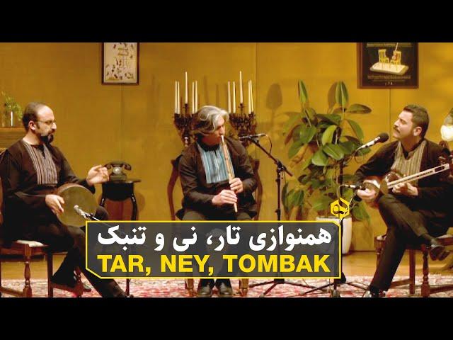 همنوازی تار، نی و تنبک | Tar, Ney & Tombak, Online Persian Music Festival