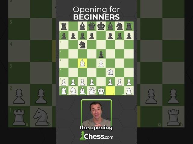 The Best Chess Opening For Beginners?