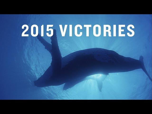 NRDC: Our Biggest Victories of 2015