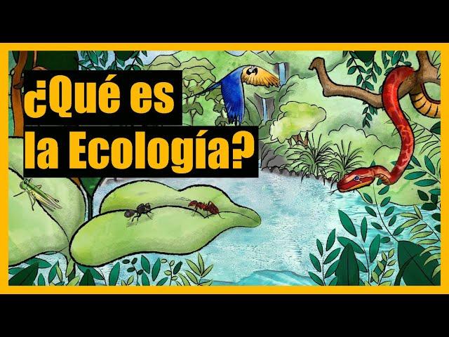 ¿Qué es la Ecología?