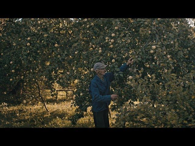 Grandfather. Part IV. Autumn - Harvest