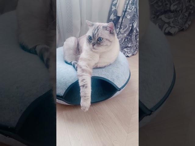 Одна из проблем совместного проживания.
