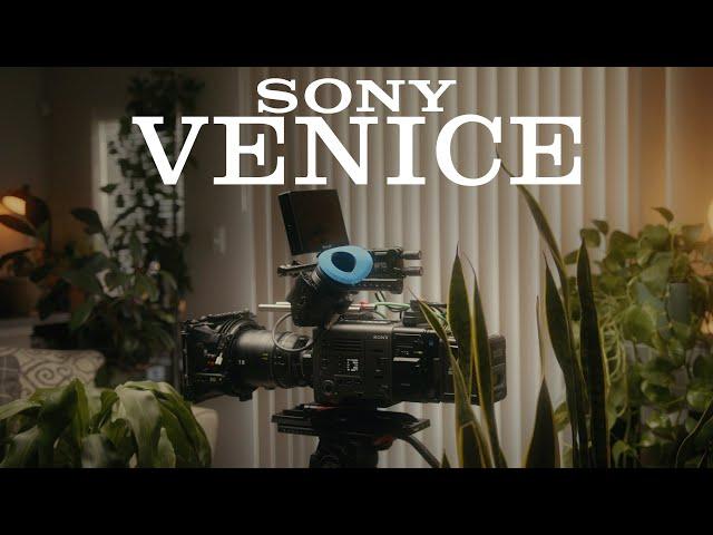 WHY I BOUGHT A SONY VENICE