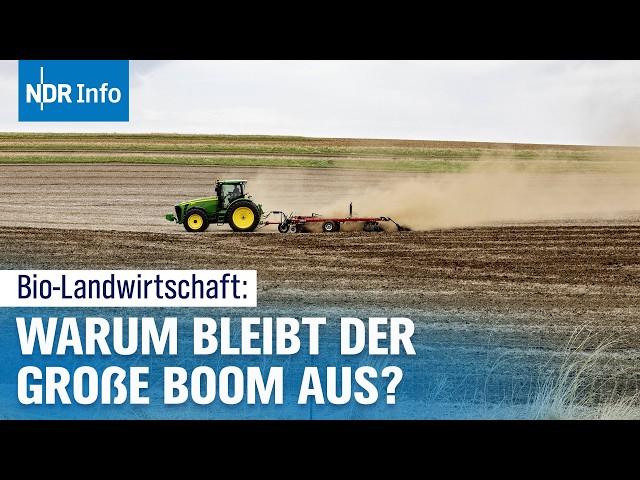 Bio-Landwirtschaft in Niedersachsen: Wo bleibt das erwartete Wachstum? | NDR Info