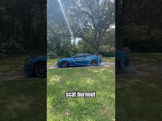 SCATPACK BURNOUT  #392#dodge#charger#scatpack#srt#burnout#fyp#trending#viral#shorts