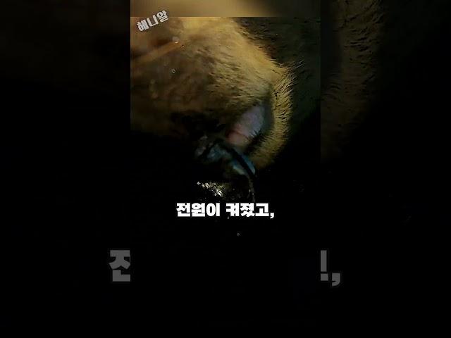 고프로를 찾는 게 어려웠던 이유