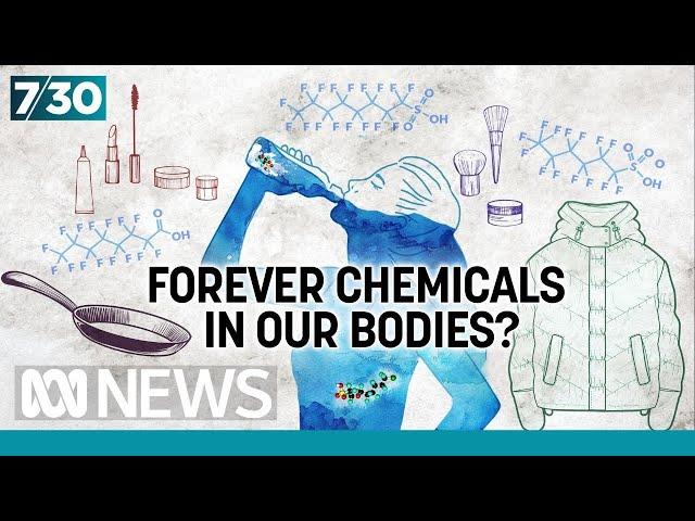 Concerns about potential health impacts from 'forever chemicals' PFAS | 7.30