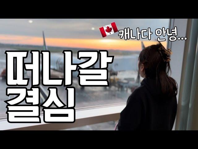 오래 고민했습니다.. 3가지 이유 (캐나다 부동산 현황 / 외식 물가)