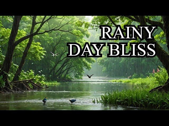Rainy Day Serenity Found in FOREST RIVER Birds Singing Bliss!