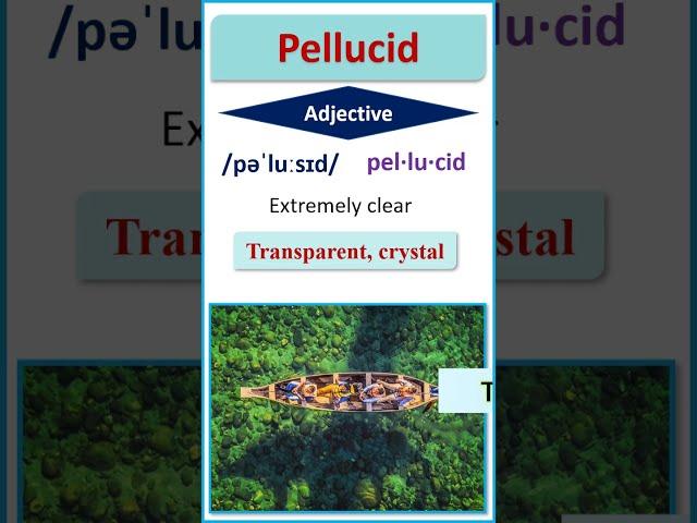Pellucid