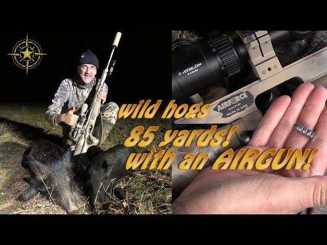 pig hunting with a .308 airgun