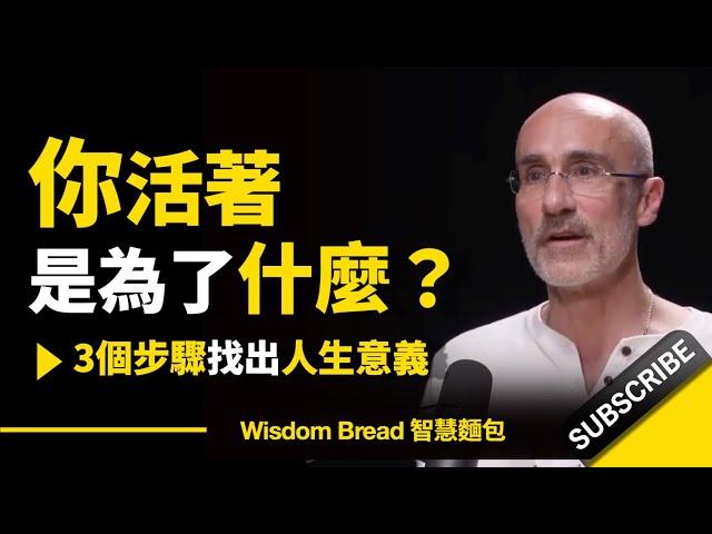 哈佛教授：你活著到底是為了什麼？► 3個步驟找出人生意義 - Dr. Arthur Brooks 亞瑟．布魯克斯（中英字幕）