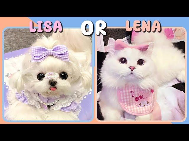 LISA OR LENA Sanrio Edition || Clothes, accessories & more fun choices #lisa #lena #sanrio #kuromi