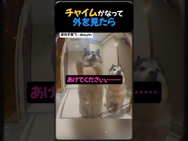 インターフォンが鳴って外を見たら。