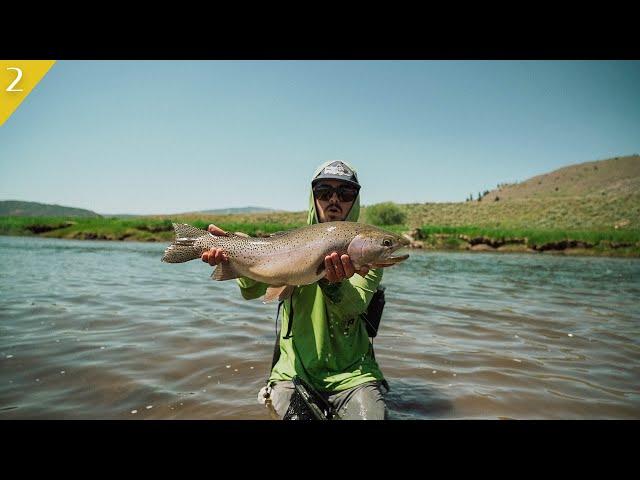 Massive Trout in Pristine Mountain Stream | Idaho Series ep. 2