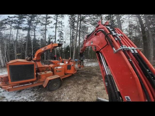 Red Beard Cutting & Clearing