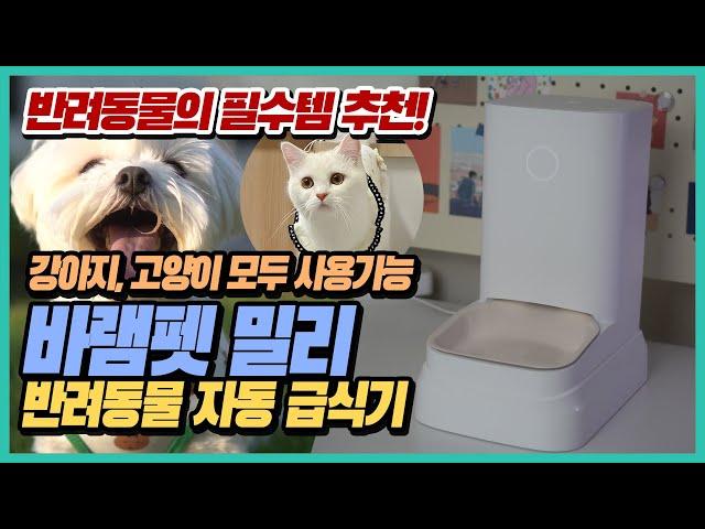  [리뷰] 반려동물 자동 급식기 바램펫 밀리 실사용 리뷰 (강아지, 고양이) | 사료 저울 다이어트 반려견 반려묘