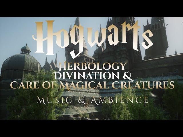 Herbology, Divination & Care of Magical Creatures | Beautiful Hogwarts Legacy, Harry Potter Ambience