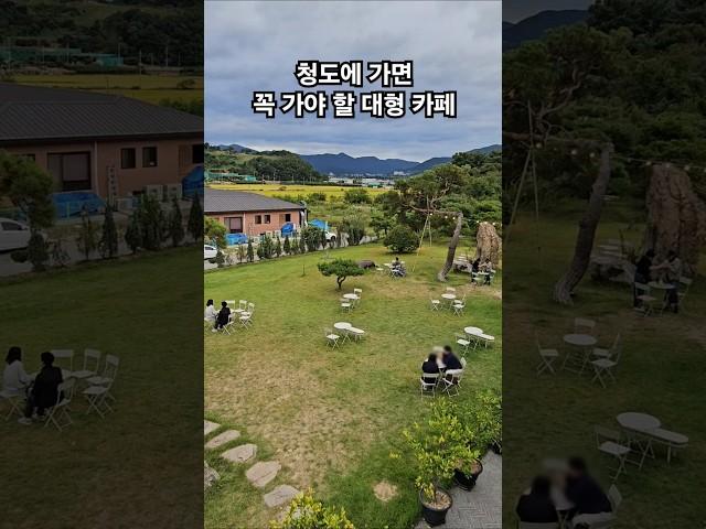 청도에 가면 꼭 가야 할 대형 카페 #청도카페