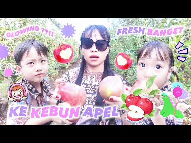 PERTAMA KALI MASUK KEBUN APEL DI JEPANG MANTAP BANGET BESTI