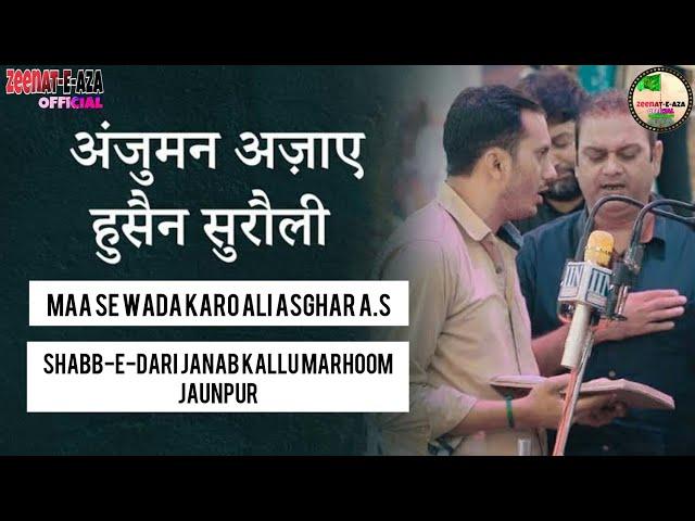 Maa Se Wada Karo Ali Asghar a.s