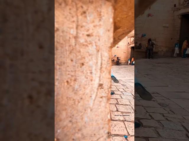 rajasthan vibes ️