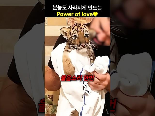 본능도 사라지게 만드는 Power of love️