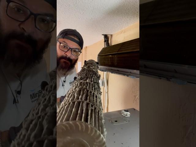 Mini Split blower wheel clean up