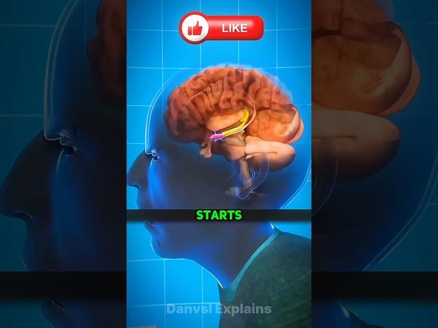 How does stress happen and why?#shorts #science #3danimation