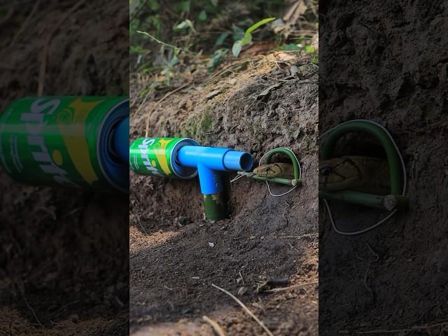 DIY Snake Trap using can & pvc #creativesnaketrap #buildsnaketrap