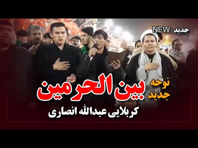 نوحه جدید کربلایی عبدالله انصاری در در بین الحرمین 1402