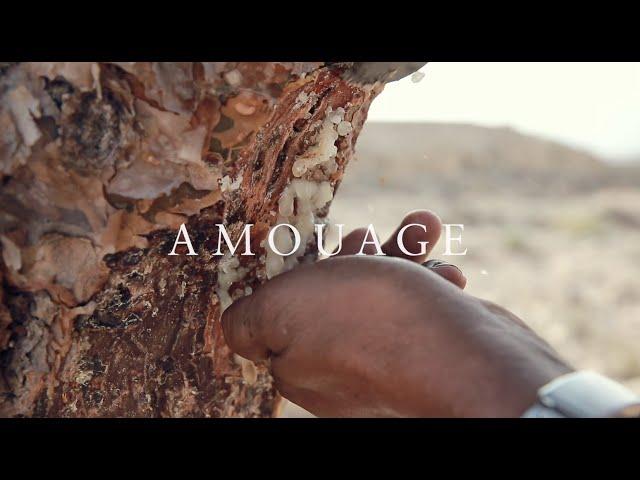 AMOUAGE EXCEPTIONAL EXTRAITS