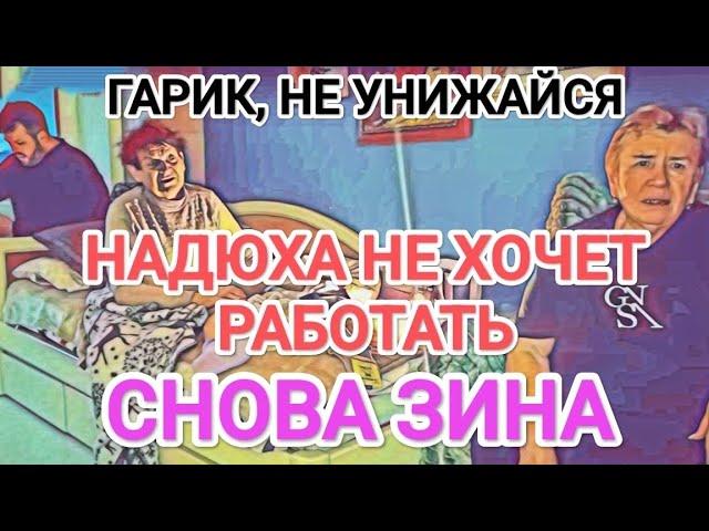 Самвел Адамян НАДЮХА НЕ ХОЧЕТ РАБОТАТЬ / ЗИНА И ДЕНЬГИ / ГАРИК, ЗАЧЕМ?