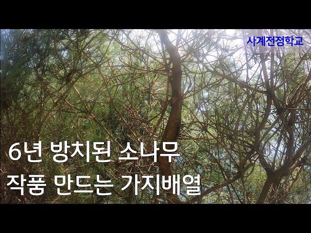 작품 만드는 가지배열 #203사계전정학교 23. 09 28