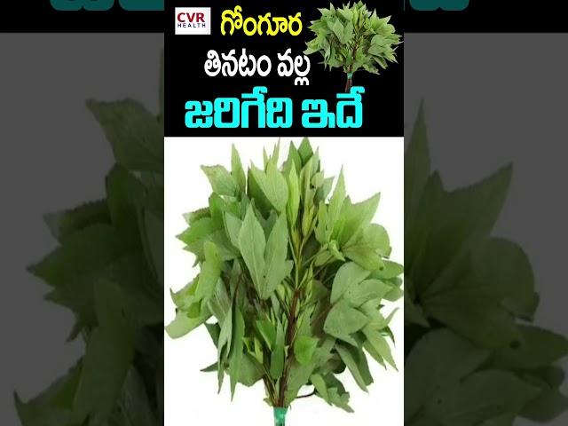 గోంగూర తినడం వల్ల జరిగేది ఇదే | Gongura Leaves Health Benefits | CVR Health News