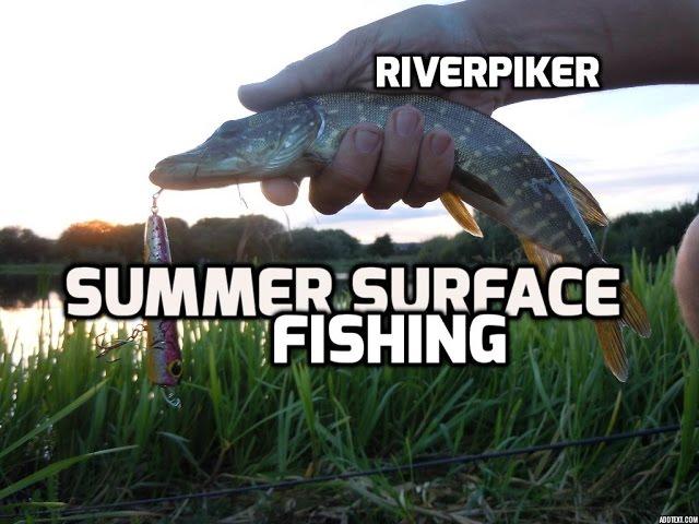 Pike fishing - Summer surface lure fishing for pike (video 3)