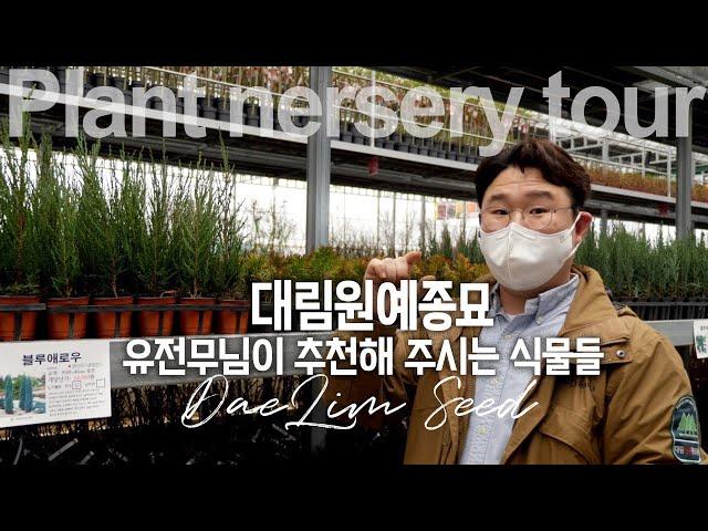 어떤 나무 심어야 하나 고민중이신가요? 대림원예종묘 유전무님이 추천하는 과실수, 신품종 식물 (신품종 캔디박스 수국 이벤트 🫐)